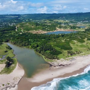 Wetland Explorers in Long Pond